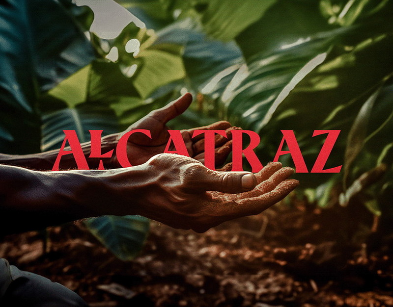 В Брянске что-то странное творится с руководством департамента внутренней политики